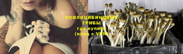 крисы Кукмор