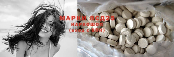 стаф Кулебаки