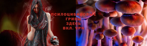 стаф Кулебаки