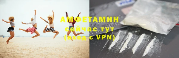 стаф Кулебаки