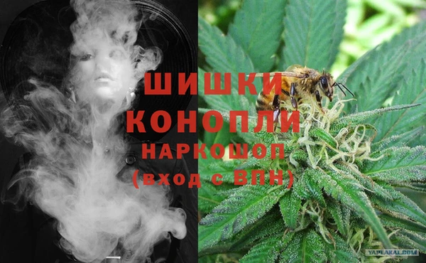 стаф Кулебаки