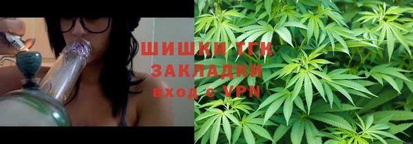 стаф Кулебаки