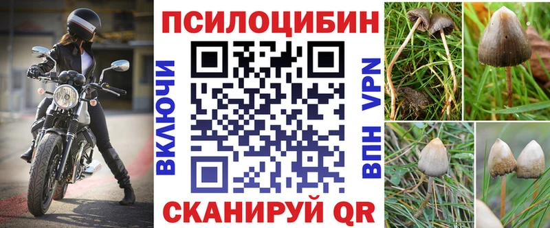 Галлюциногенные грибы мицелий  даркнет сайт  Салаир 